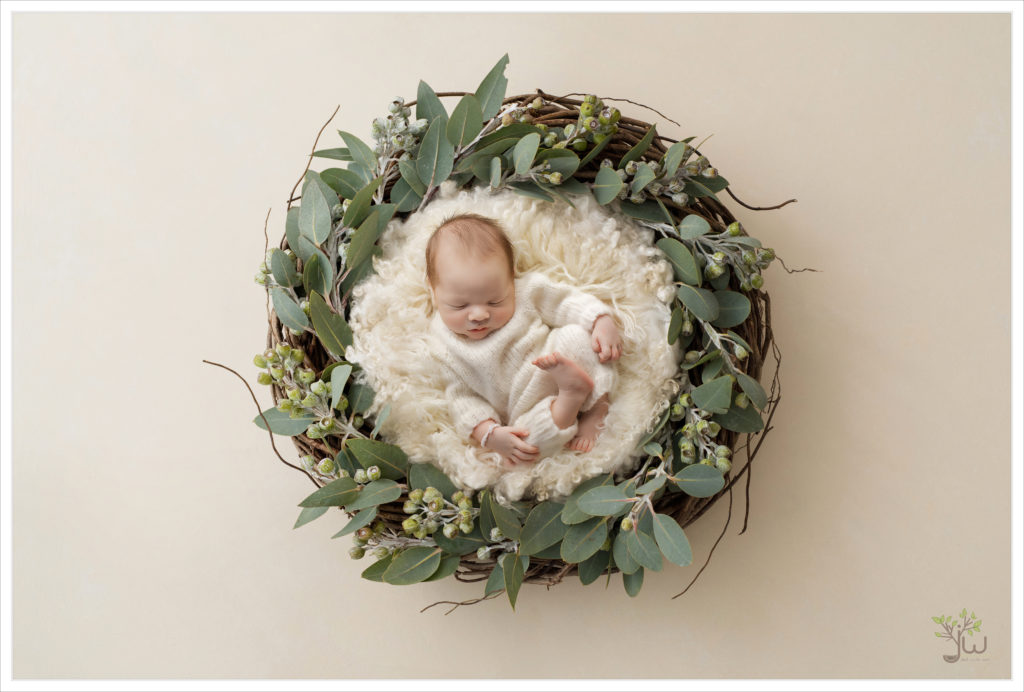 Best Seattle baby photographer